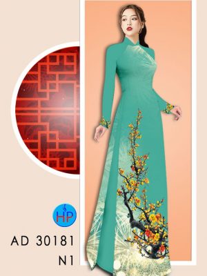 vai ao dai dep (11)